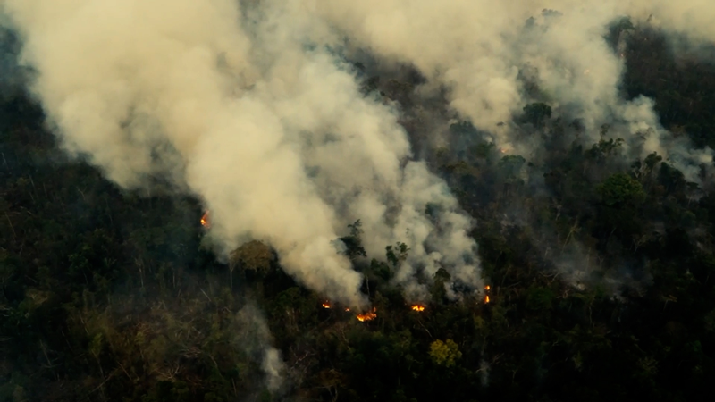 Brazil’s Amazon Faces Deforestation Surge Amid Controversial New Bill Brazil_s_Amazon_Faces_Deforestation_Surge_Amid_Controversial_New_Bill video poster