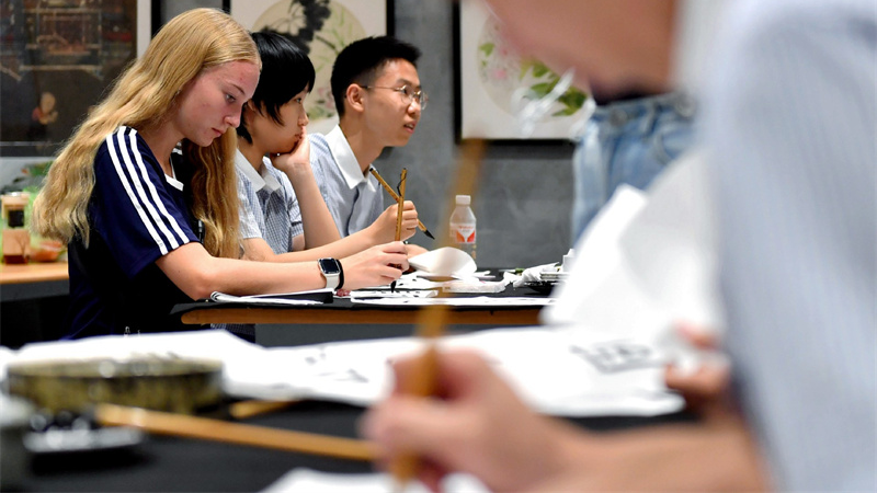 Bridging_Divides__Digital_Age_Civilizational_Dialogue_Gains_Momentum