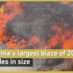 California_s_2025_Wildfire_Crisis__Rapid_Blaze_Expansion_Sparks_Evacuations
