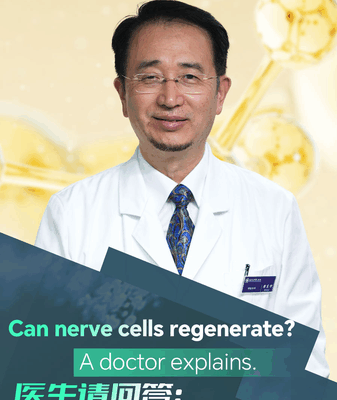 Can Nerve Cells Regenerate? Expert Insights on Neuron Health Can_Nerve_Cells_Regenerate__Expert_Insights_on_Neuron_Health video poster