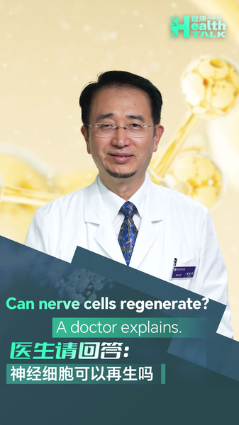 Can_Nerve_Cells_Regenerate__Expert_Insights_on_Neuron_Health_poster - Khabar Asia Can_Nerve_Cells_Regenerate__Expert_Insights_on_Neuron_Health video poster