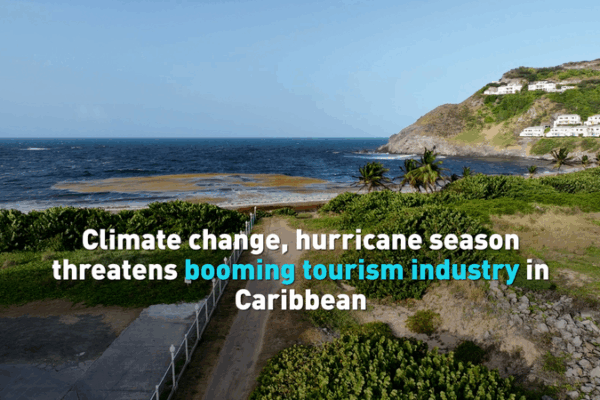 Caribbean Tourism Faces Dual Threat: Hurricanes and Seaweed Surge Caribbean_Tourism_Faces_Dual_Threat__Hurricanes_and_Seaweed_Surge video poster