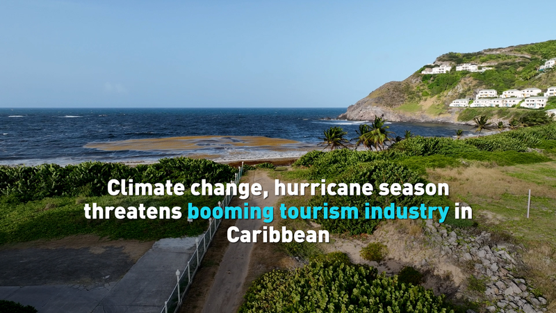 Caribbean_Tourism_Faces_Dual_Threat__Hurricanes_and_Seaweed_Surge video poster