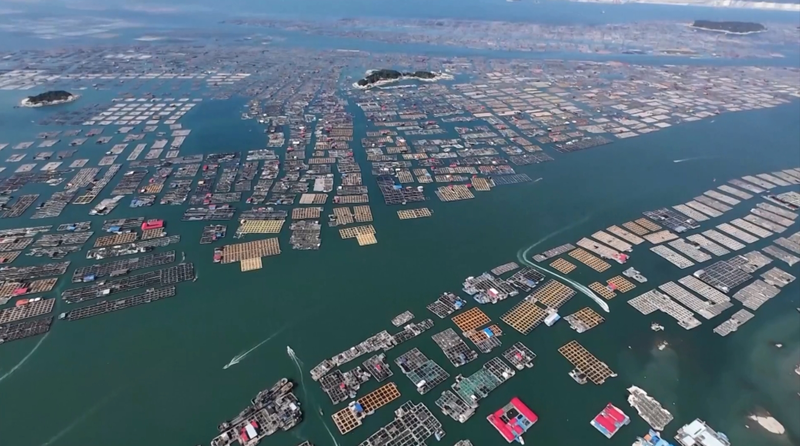 China_Activates_Emergency_Measures_as_Typhoon_Danas_Approaches_Coast