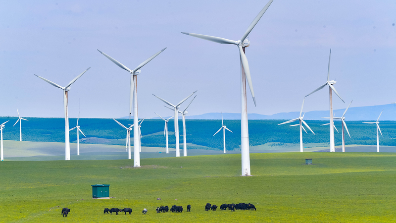 China_Denmark_Green_Partnership_Hits_75_Year_Milestone - Khabar Asia China_Denmark_Green_Partnership_Hits_75_Year_Milestone