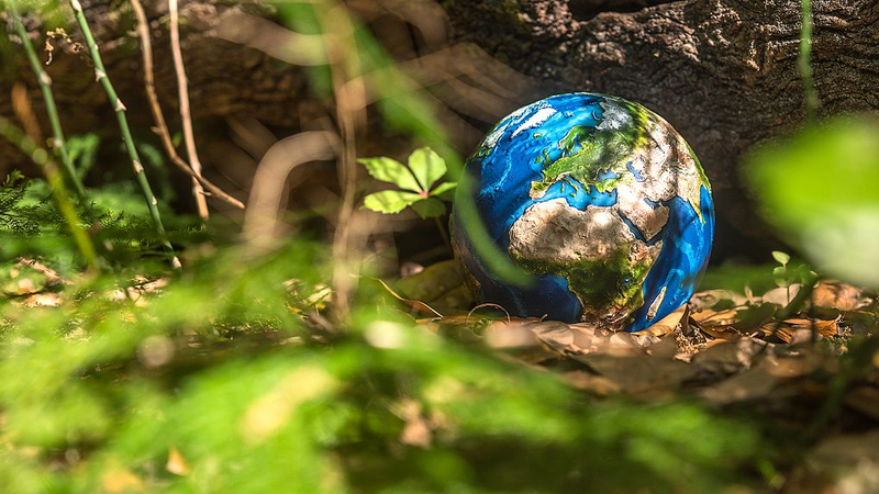 China-EU Climate Pact Sets Roadmap for Global Green Transition China_EU_Climate_Pact_Sets_Roadmap_for_Global_Green_Transition