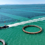 China_Pushes_Unified_Market__Marine_Growth_Under_Xi_s_Directive