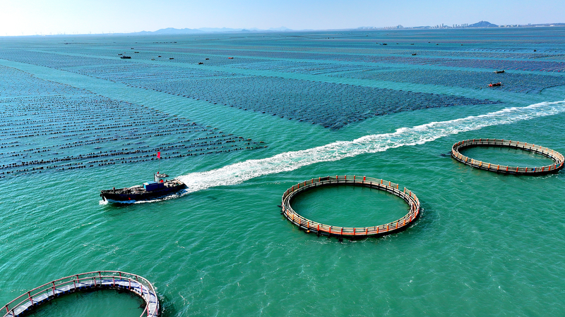 China_Pushes_Unified_Market__Marine_Growth_Under_Xi_s_Directive - Khabar Asia China_Pushes_Unified_Market__Marine_Growth_Under_Xi_s_Directive