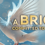 China_Urges_BRICS_Nations_to_Champion_Global_Peace_and_Security video poster