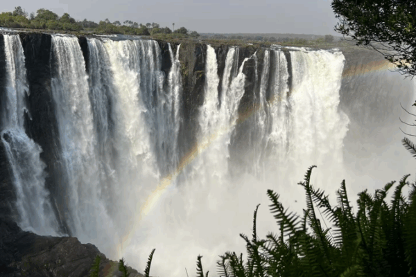 China & Africa Unite for Wetland Conservation at COP15 Summit China___Africa_Unite_for_Wetland_Conservation_at_COP15_Summit