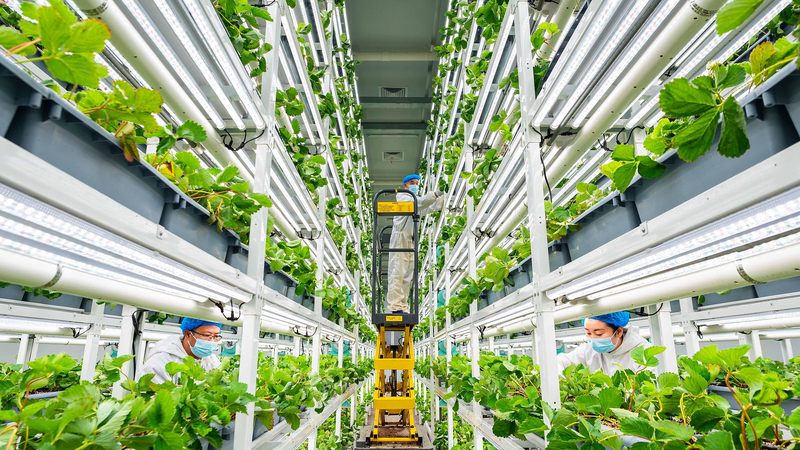 China_s_Agri_Tech_Revolution_Fuels_Global_Food_Security - Khabar Asia China_s_Agri_Tech_Revolution_Fuels_Global_Food_Security