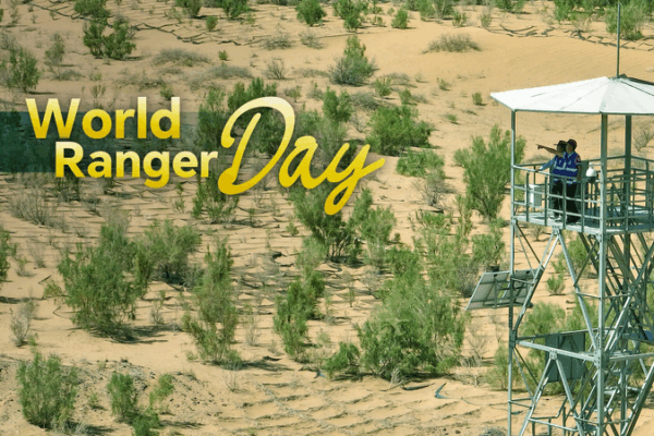 China’s Ecological Rangers Champion Biodiversity on World Ranger Day China_s_Ecological_Rangers_Champion_Biodiversity_on_World_Ranger_Day