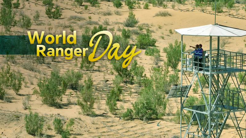 China_s_Ecological_Rangers_Champion_Biodiversity_on_World_Ranger_Day