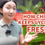 China_s_Lychee_Revolution__Fresh_Fruit_Goes_Global_Against_the_Clock_poster - Khabar Asia China_s_Lychee_Revolution__Fresh_Fruit_Goes_Global_Against_the_Clock video poster