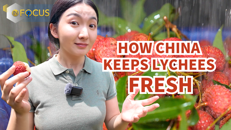 China_s_Lychee_Revolution__Fresh_Fruit_Goes_Global_Against_the_Clock video poster