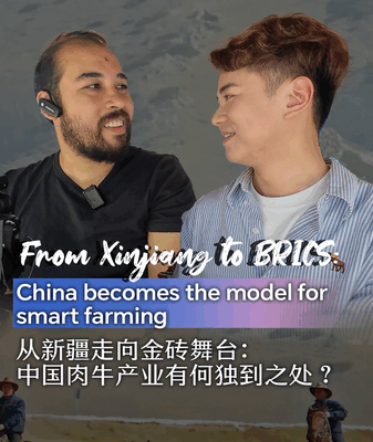 China’s Smart Farming Model Gains Traction in BRICS Nations China_s_Smart_Farming_Model_Gains_Traction_in_BRICS_Nations video poster