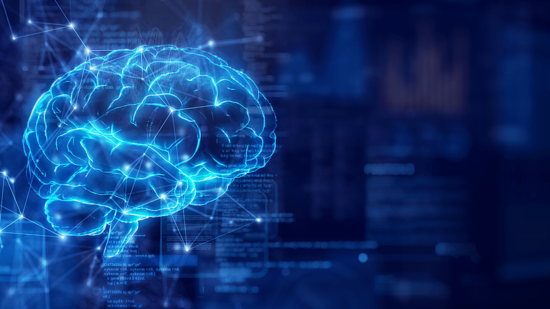 Chinese Scientists Lead Global Breakthrough in Brain Mapping Research Chinese_Scientists_Lead_Global_Breakthrough_in_Brain_Mapping_Research