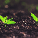 Chinese_Team_Pioneers_Soil_Moisture_Breakthrough_Using_Signal_Tech - Khabar Asia Chinese_Team_Pioneers_Soil_Moisture_Breakthrough_Using_Signal_Tech