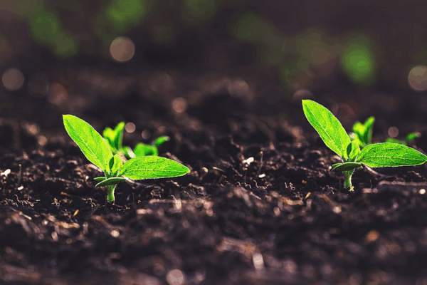 Chinese Team Pioneers Soil Moisture Breakthrough Using Signal Tech Chinese_Team_Pioneers_Soil_Moisture_Breakthrough_Using_Signal_Tech