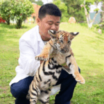 Decoding_Tiger_Communication__Insights_from_Caretakers video poster