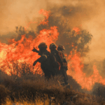 Europe_Swelters_Under_Record_Heat__Fatalities__Wildfires_Reported - Khabar Asia Europe_Swelters_Under_Record_Heat__Fatalities__Wildfires_Reported
