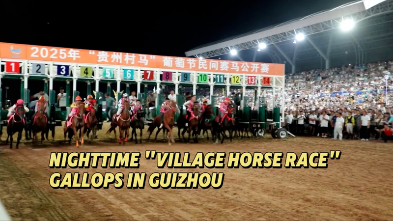 Guizhou’s Nighttime Village Horse Race Blends Tradition and Thrills Guizhou_s_Nighttime_Village_Horse_Race_Blends_Tradition_and_Thrills video poster
