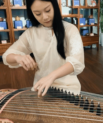 Guzheng Artistry Shines at Bird’s Nest Festival Guzheng_Artistry_Shines_at_Bird_s_Nest_Festival video poster