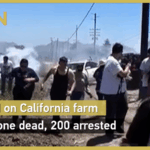 ICE_Raid_on_California_Cannabis_Farm_Leaves_1_Dead__200_Arrested_poster - Khabar Asia ICE_Raid_on_California_Cannabis_Farm_Leaves_1_Dead__200_Arrested video poster