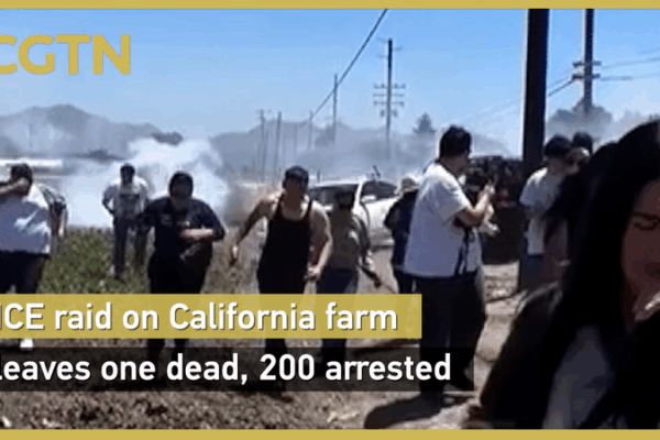 ICE Raid on California Cannabis Farm Leaves 1 Dead, 200 Arrested ICE_Raid_on_California_Cannabis_Farm_Leaves_1_Dead__200_Arrested video poster