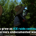 ICE_Raids_Stir_Anxiety_Among_California_s_Undocumented_Workers_poster - Khabar Asia ICE_Raids_Stir_Anxiety_Among_California_s_Undocumented_Workers video poster