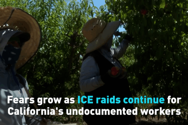 ICE Raids Stir Anxiety Among California’s Undocumented Workers ICE_Raids_Stir_Anxiety_Among_California_s_Undocumented_Workers video poster