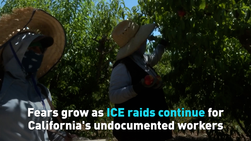 ICE_Raids_Stir_Anxiety_Among_California_s_Undocumented_Workers_poster - Khabar Asia ICE_Raids_Stir_Anxiety_Among_California_s_Undocumented_Workers video poster