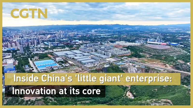 Inside China’s ‘Little Giant’ Enterprise: Innovation Drives Growth Inside_China_s__Little_Giant__Enterprise__Innovation_Drives_Growth video poster