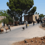 Israel_Syria_Ceasefire_Reached_Through_U_S__Mediation - Khabar Asia Israel_Syria_Ceasefire_Reached_Through_U_S__Mediation