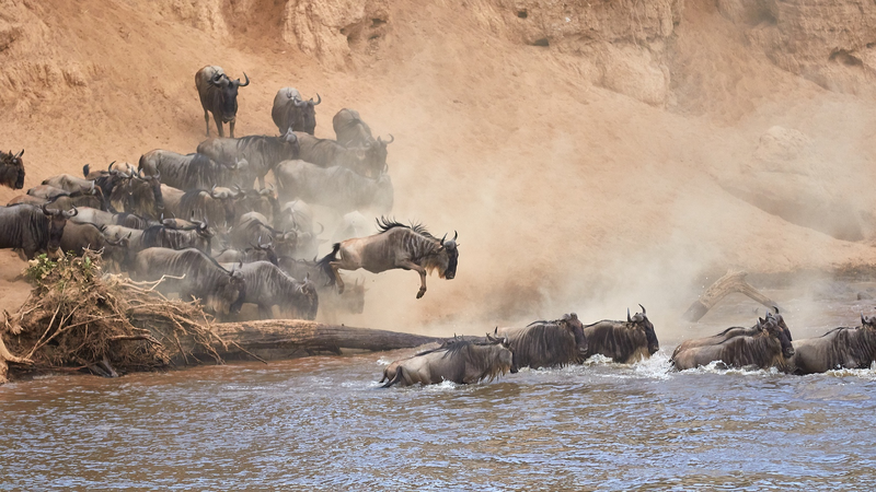 Kenya Targets 5 Million Tourists by 2027 as Wildebeest Migration Begins Kenya_Targets_5_Million_Tourists_by_2027_as_Wildebeest_Migration_Begins