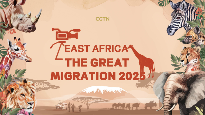 Kenya_s_Wildlife_Beyond_the_Big_Five__CGTN_Launches_Great_Migration_Series_poster - Khabar Asia Kenya_s_Wildlife_Beyond_the_Big_Five__CGTN_Launches_Great_Migration_Series video poster
