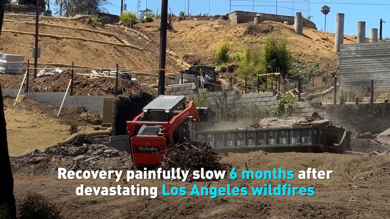 LA_Wildfire_Recovery_Stalls_Six_Months_After_Devastation video poster