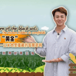 Lishu_s_Corn_Revolution__Smart_Farming_Fuels_Rural_Growth_poster - Khabar Asia Lishu_s_Corn_Revolution__Smart_Farming_Fuels_Rural_Growth video poster