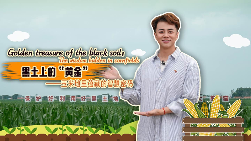 Lishu_s_Corn_Revolution__Smart_Farming_Fuels_Rural_Growth video poster