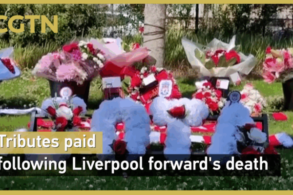 Liverpool Star Diogo Jota Dies in Tragic Spain Car Crash Liverpool_Star_Diogo_Jota_Dies_in_Tragic_Spain_Car_Crash video poster