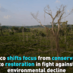 Mexico_Pivots_to_Ecosystem_Restoration_Amid_Climate_Crisis video poster