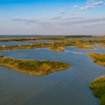 Minjiang_Wetland_Emerges_as_Vital_Hub_for_Migratory_Birds_in_Asia - Khabar Asia Minjiang_Wetland_Emerges_as_Vital_Hub_for_Migratory_Birds_in_Asia