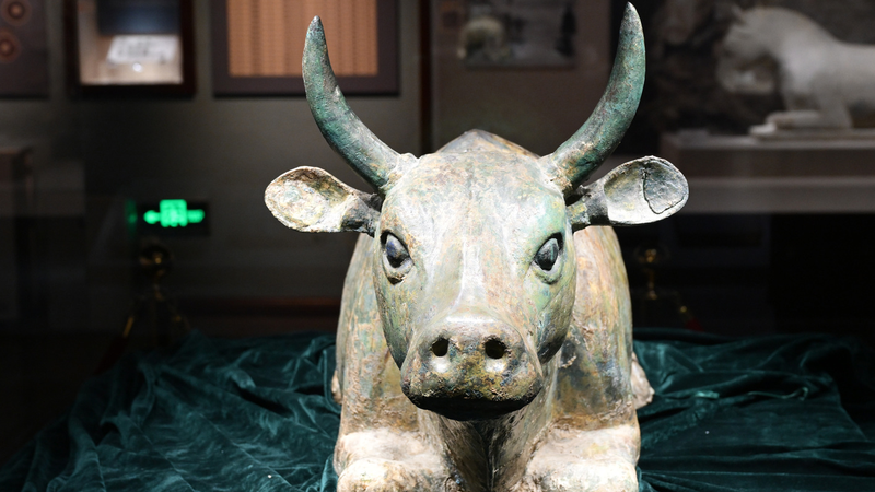 Ningxia Museum Draws Record Crowds Amid Summer Tourism Boom Ningxia_Museum_Draws_Record_Crowds_Amid_Summer_Tourism_Boom