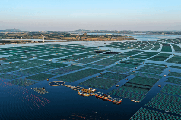 Norway Eyes Deeper Green Cooperation with China to Boost Climate Action, Economy Norway_Eyes_Deeper_Green_Cooperation_with_China_to_Boost_Climate_Action__Economy