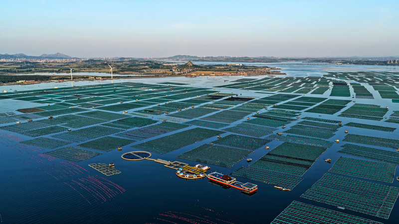 Norway_Eyes_Deeper_Green_Cooperation_with_China_to_Boost_Climate_Action__Economy - Khabar Asia Norway_Eyes_Deeper_Green_Cooperation_with_China_to_Boost_Climate_Action__Economy