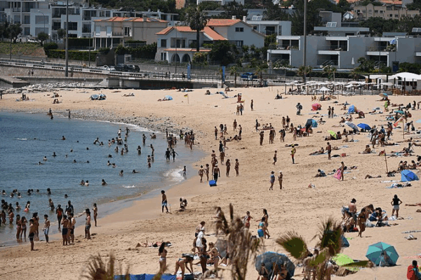Portugal’s Heatwave Crisis Signals Climate ‘New Normal’ Portugal_s_Heatwave_Crisis_Signals_Climate__New_Normal_