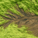 Qingdao_s__Tidal_Trees__Blur_Art_and_Ecology_in_Coastal_Spectacle