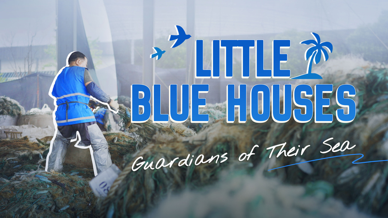Retired Fishermen Lead Marine Conservation with ‘Little Blue Houses’ in Zhejiang Retired_Fishermen_Lead_Marine_Conservation_with__Little_Blue_Houses__in_Zhejiang video poster