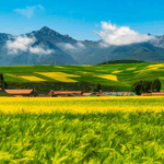 Satellite_Data_Fuels_Eco_Protection_on_Qinghai_Xizang_Plateau - Khabar Asia Satellite_Data_Fuels_Eco_Protection_on_Qinghai_Xizang_Plateau