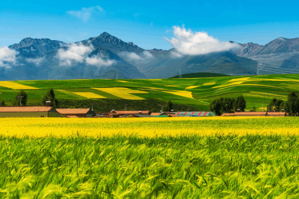 Satellite Data Fuels Eco-Protection on Qinghai-Xizang Plateau Satellite_Data_Fuels_Eco_Protection_on_Qinghai_Xizang_Plateau